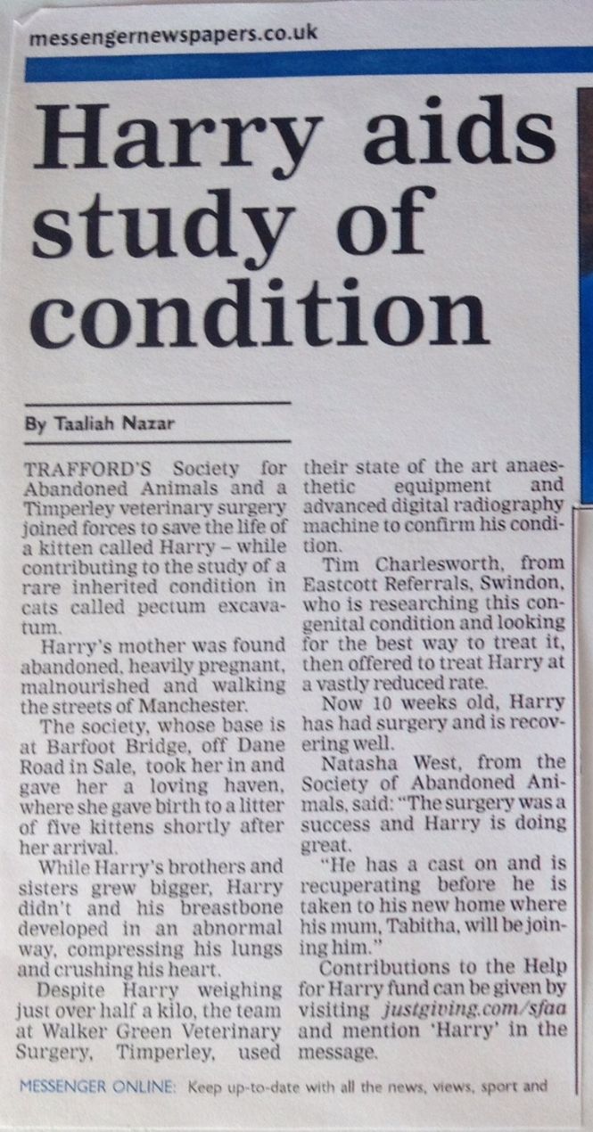 newpaper article on Harry